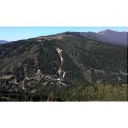 Jambling Sherpa Homestay , Darjeeling Νταρτζίλινγκ Εξωτερικό φωτογραφία